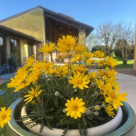 Alloggio per agriturismo Corte Capiluppia Curtatone